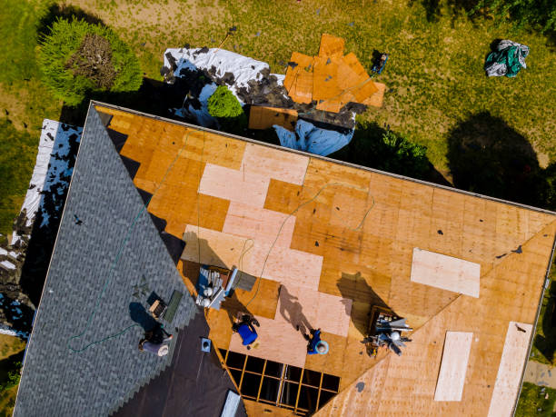 Best Roof Maintenance Services  in Ames, TX